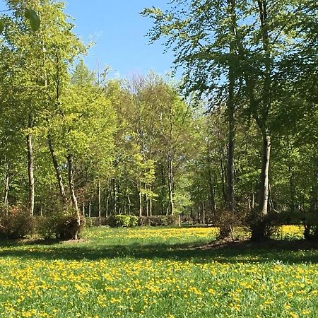 Ferienwohnung Ravelblick Roetgen Luaran gambar