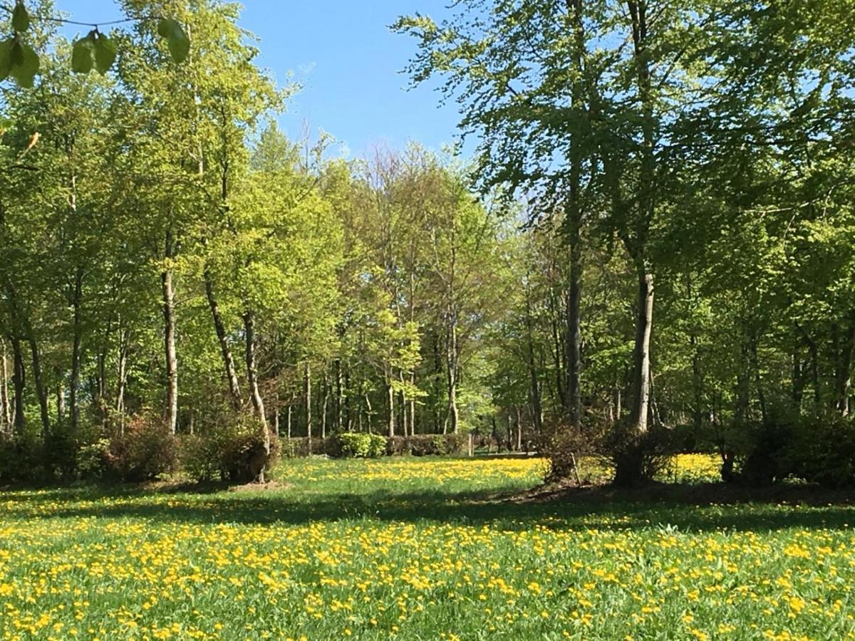 Ferienwohnung Ravelblick Roetgen Luaran gambar